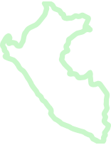 icon green peru